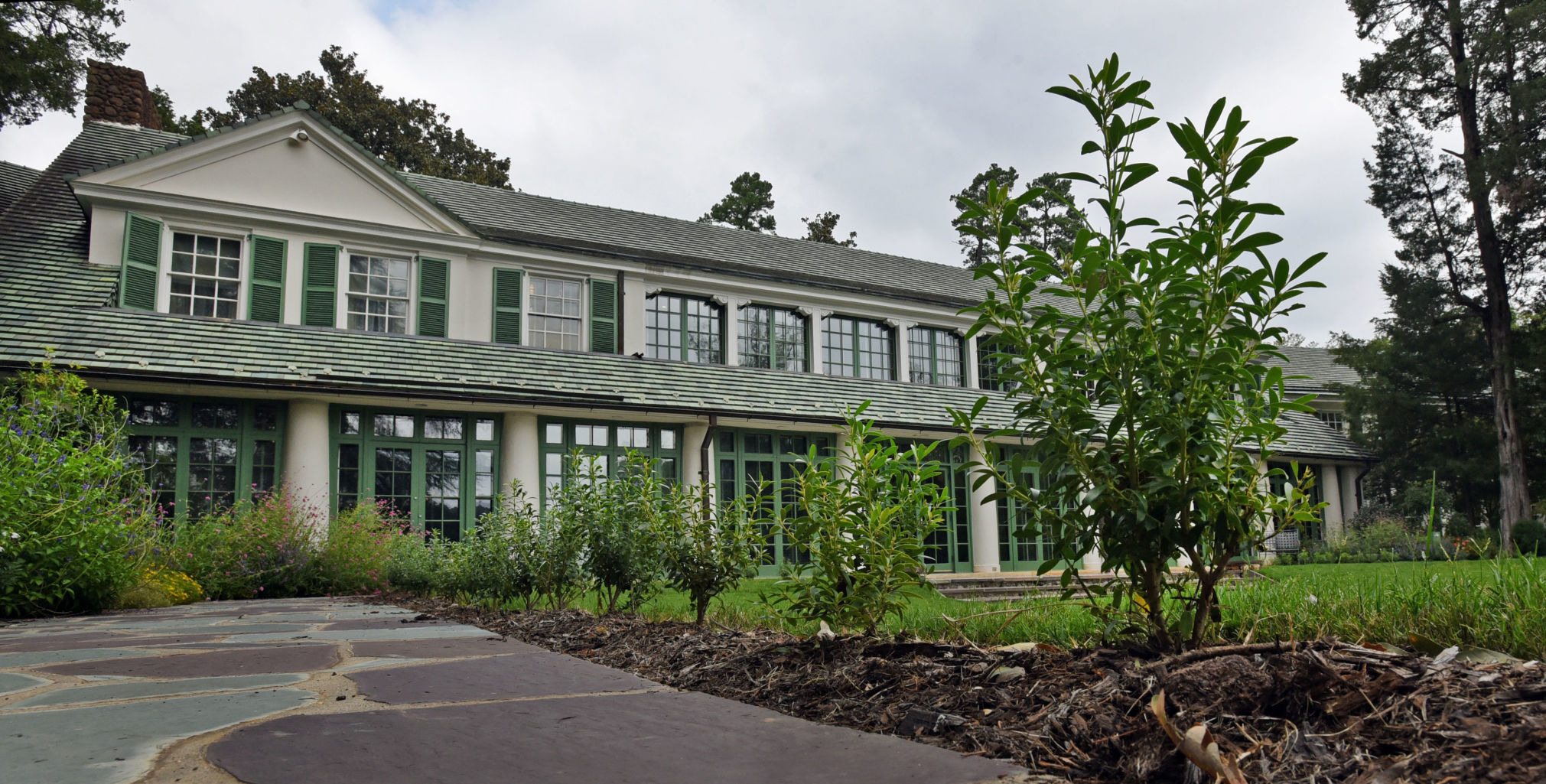 Reynolda Boxwoods